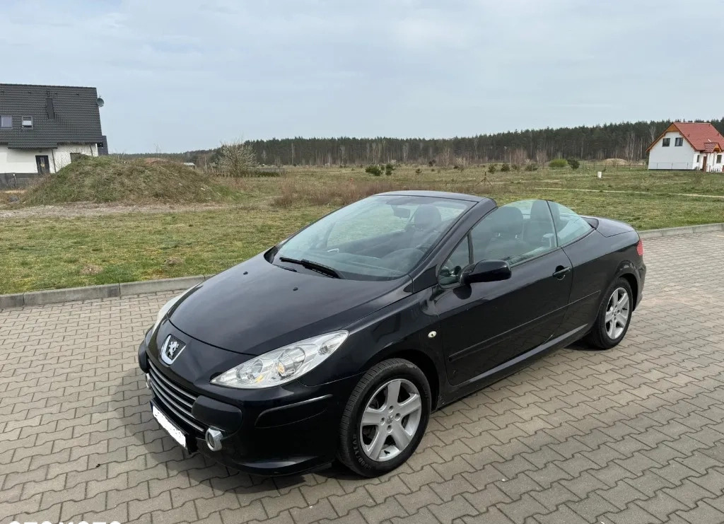 Peugeot 307 cena 13500 przebieg: 225375, rok produkcji 2006 z Jastrowie małe 37